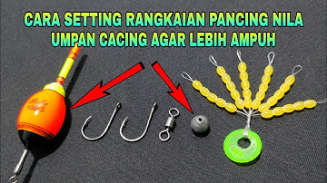 Cara Mudah Membuat Rangkaian Pancing Nila Umpan Cacing 2 Mata Kail Paling Ampuh