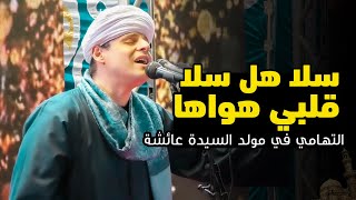 محمود التهامي | سلا هل سلا قلبي هواها | مولد السيدة عائشة ٢٠٢٤