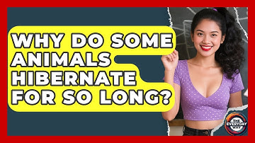Why Do Some Animals Hibernate For So Long? - The Everyday Why