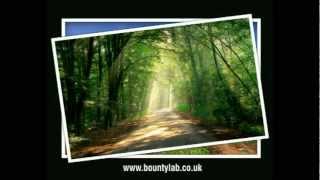 Web Design Web Development Software SEO Outsource Colombo Sri Lanka - Bountylab International screenshot 5