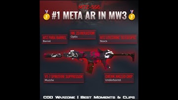 The MTZ 556 is the BEST AR in MW3