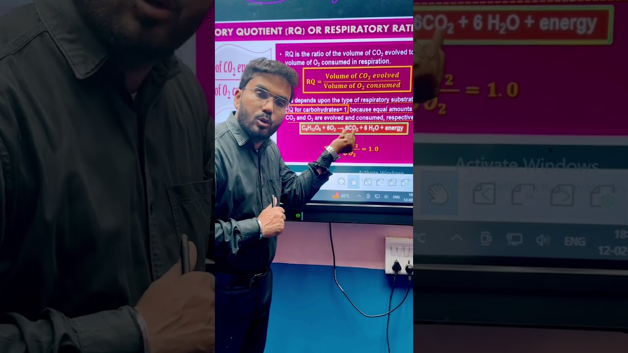 Дыхательный коэффициент (ДК)