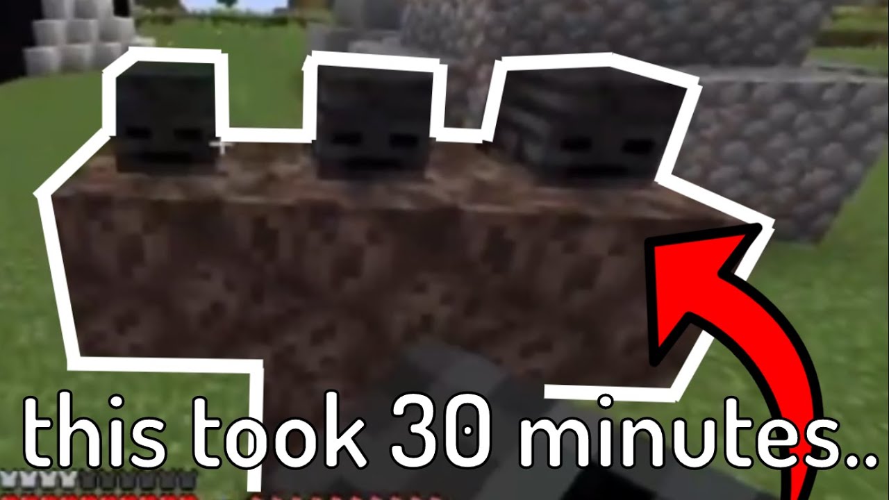 causing CHAOS on a Minecraft Server