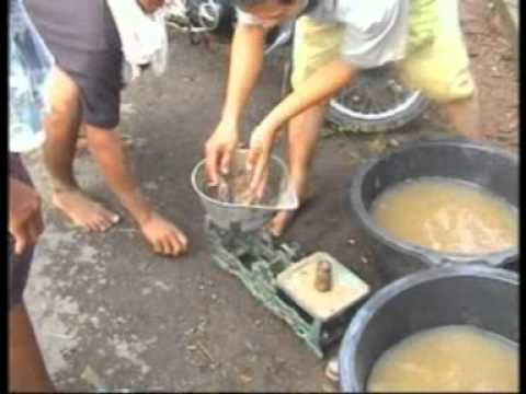 resep-tambak-udang-galah---1-sleman-yogyakarta