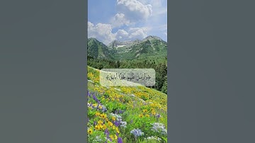 تلاوة ماهر المعيقلي، سورة الفيل