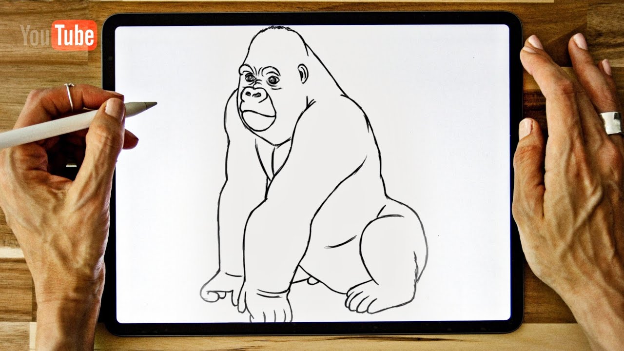 Comment dessiner un GORILLE - YouTube