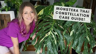 Thai Constellation Monstera Care & All About My Thai Plants!