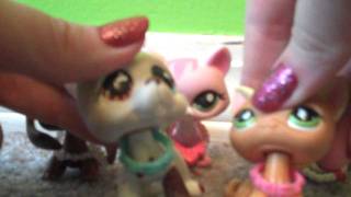 Lps Version - Dont Stop Believin Glee Version