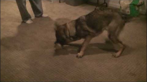 Clicker Retrieve Session 4