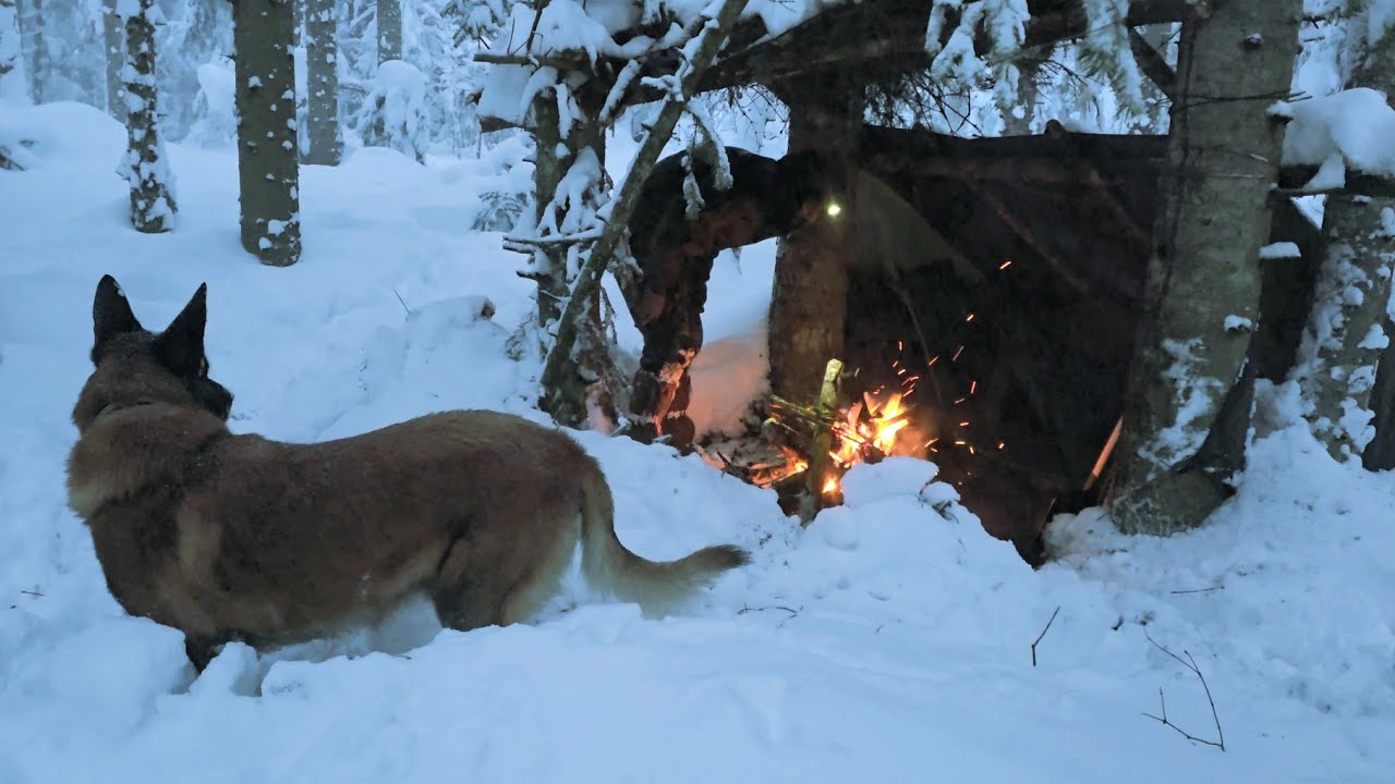 2 Days Without Sleep in 1 Meter of Snow… The Most Terrifying Snowstorm of My Life