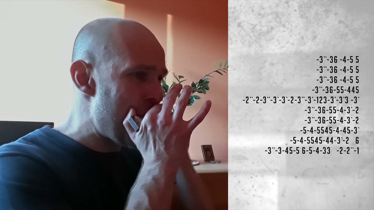 Blues Licks #04 Little Walter - Don't Need No Horse HARMONICA Seydel 1847 Classic (Bb)