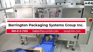Mini Bagger Multiple Pouch Packaging System
