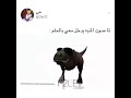 لما تكون نايم ويدخل عليك المنبه حشيش