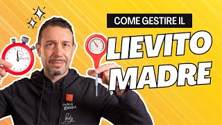 LIEVITO MADRE - COME GESTIRLO, organizzare la routine e mantenerlo in perfetta forma