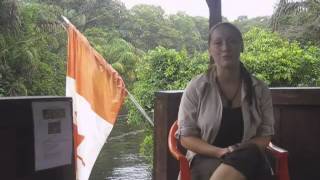 Turtle Intern Interview - Becca 2013