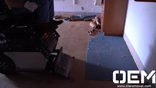 OEM Products Economic Ride on Floor Scraper The Lightning