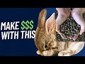 Make money processing rabbit poop for fertilizer