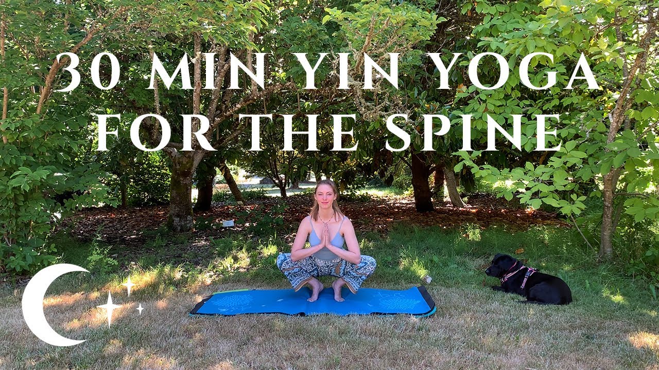 30 Min Yin Yoga for the Spine - YouTube