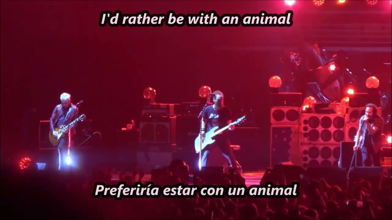 Pearl Jam - Animal (Lyrics - Subtítulos En Español) - YouTube