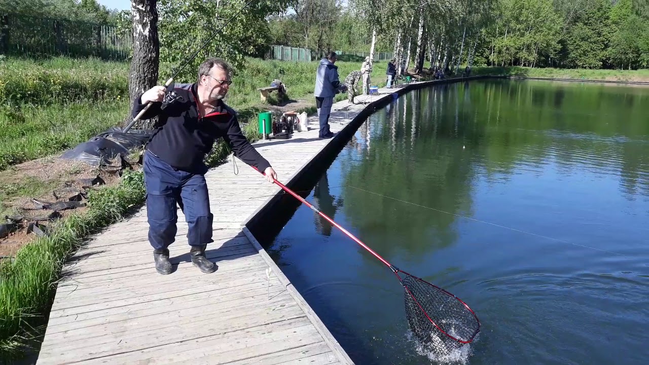 Фидер на волге