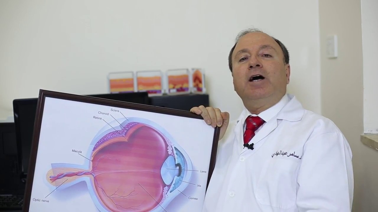 د سامر عبد الهادي  جراحات السائل الزجاجي 1