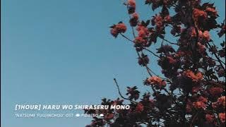 [1시간/1Hour] 나츠메 우인장(Natsume Yuujinchou) OST - 봄을 알리는 자(Haru wo Shiraseru mono) Piano Cover