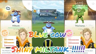 World's first shiny miltank in pokemon go ||#shinymiltank #bluecow