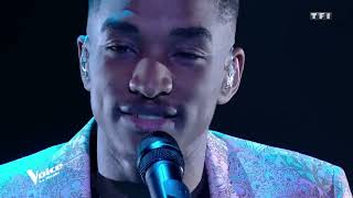 Billie Eilish | Lovely | Abi | The Voice France 2020 | Finale