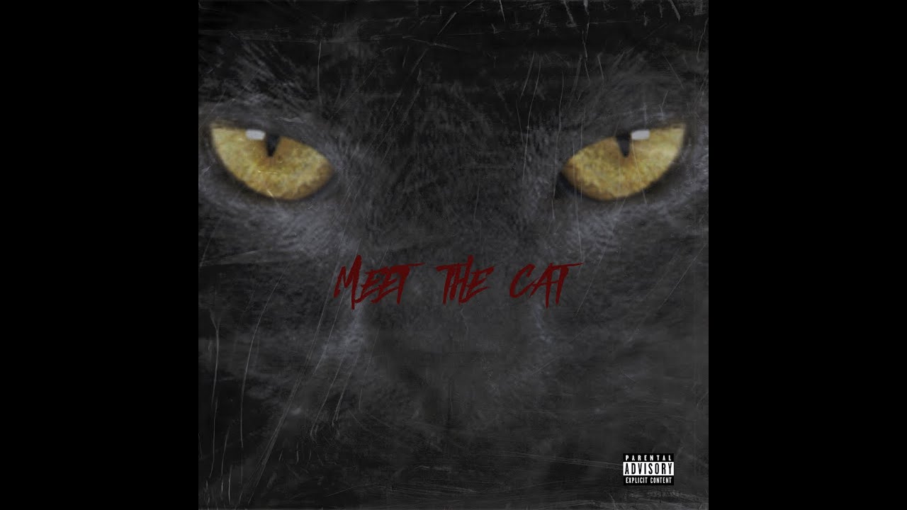 (FREE) +30 VOX UK/NY DRILL MEET THE CAT VOX KIT [Inspired by 808melo