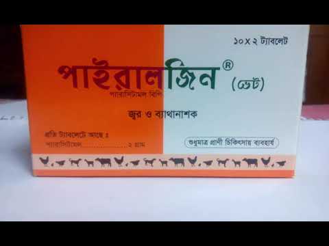 ভিডিও: কুকুরের প্রদাহ ছাড়াই বিপাকীয় পেশী রোগ