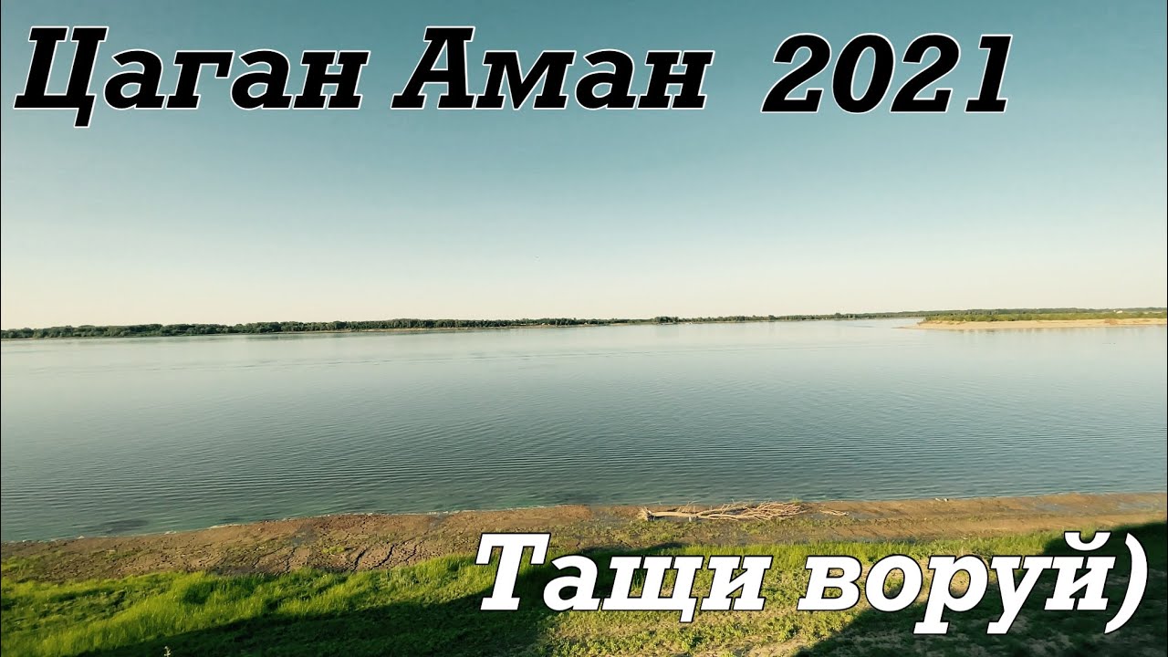 Цаган аман волга