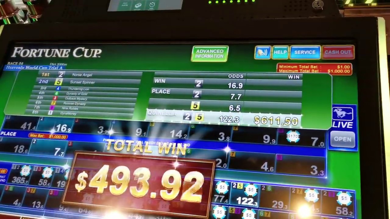 Fortune Cup horse racing slot machine a few small wins betting longshot