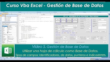 Curso VBA Excel - 5. Utilizar una hoja de cálculo como base de datos (I). Tipos de campos.