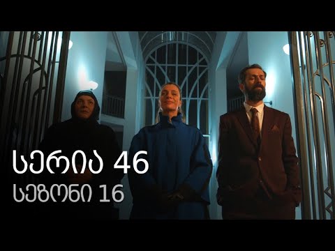 ჩემი ცოლის დაქალები - სერია 46 (სეზონი 16)