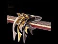 Shark Shape Guitar Capo Musical Instruments |  guitar of the day