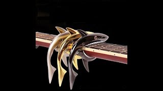 Shark Shape Guitar Capo Musical Instruments |  guitar of the day