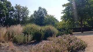ASMR, wind, dry grass rustling, crickets, crow, whistle, foot steps.