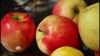 Яблочный спецвыпуск программы "Еда живая и мёртвая"