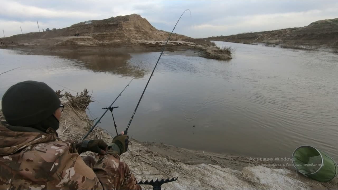 Рыбалка на Мутном канале. В поисках сазаньего счастья.