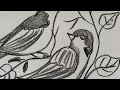 Bird drawing with pencil sketch .