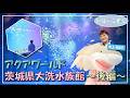 いばらき推し「アクアワールド茨城県大洗水族館～後編～（大洗町）」【出演：村上佳菜子】