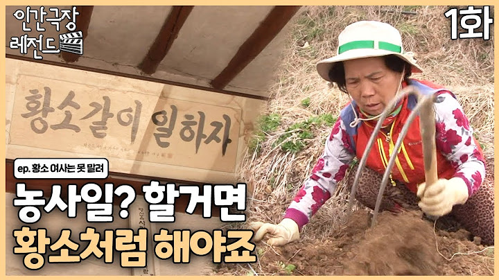 [인간극장 레전드🎬😘💕#363-1] 농사일, 할 거면 황소처럼 해야죠ㅣ황소 여사는 못 말려 (1/4)  [KBS 140424-140426 방송]