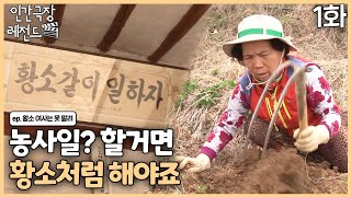 [인간극장 레전드#3631] 농사일, 할 거면 황소처럼 해야죠ㅣ황소 여사는 못 말려 (1/4)  [KBS 140424140426 방송]