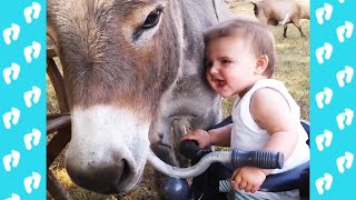 👶🍼 El momento más divertido entre bebés y animales #3 🐢🐴 Compilación de bebés divertidos