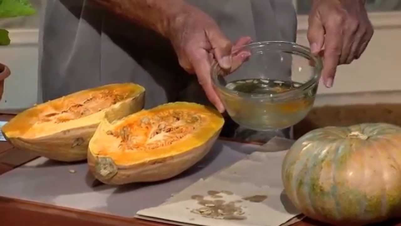 Central Florida Gardening - Calabaza Squash