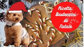 Ricetta per cani bastoncini di Natale by Fashion Dog Italia 1,021 views 3 years ago 2 minutes, 59 seconds