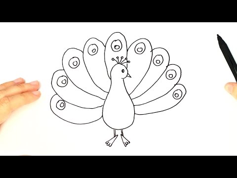 Video: Cómo Dibujar Un Pavo Real