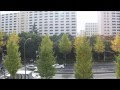 都営地下鉄 三田線 6300形 3次車　新高島平➔高島平 の動画、YouTube動画。