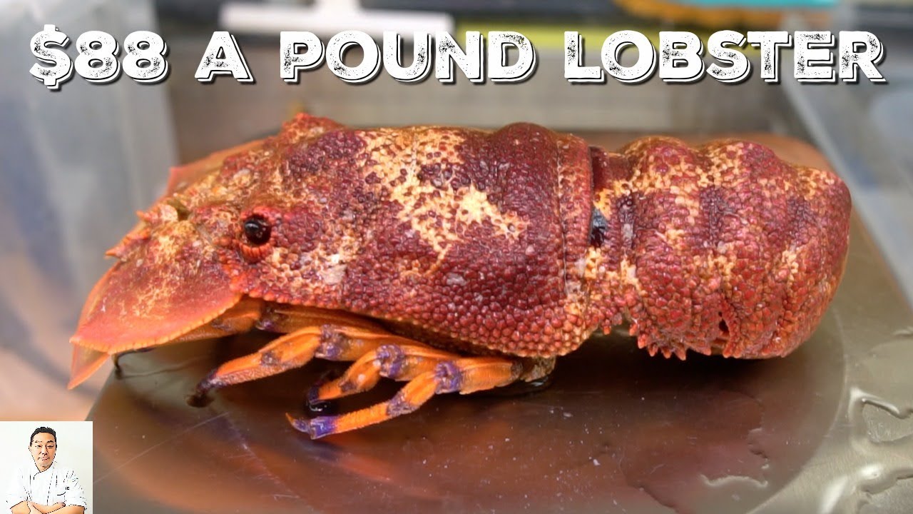 $88/Pound LIVE Slipper Lobster Sashimi: WORTH IT? | Hiroyuki Terada - Diaries of a Master Sushi Chef