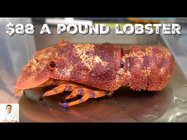 $88/Pound LIVE Slipper Lobster Sashimi: WORTH IT?